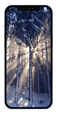 Скачать 1350x2400 лес, зима, снег, дорога, небо, природа, зимний пейзаж  обои, картинки iphone 8+/7+/6s+/6+ for parallax