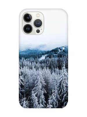 Чехол на iPhone 11 Pro Max с принтом Kruche Print Кот Сочи, бампер с  защитой камеры, купить в Москве, цены в интернет-магазинах на Мегамаркет