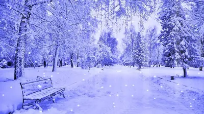 обои • wallpaper • зима • winter | Обои для телефона, Обои, Рождественские  обои