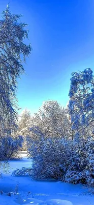 Скачать обои "Зимний Пейзаж" на телефон в высоком качестве, вертикальные  картинки "Зимний Пейзаж" бесплатно