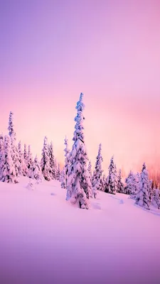 Красивые картинки зимние на телефон (36 фото) • Развлекательные картинки |  Winter pictures, Winter scenes, Winter scenery