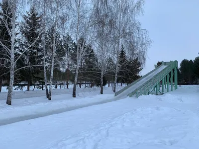 Зимние фотографии отельного кота Барсика. - Новости отеля Матисов Домик г.  Санкт-Петербург