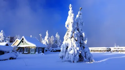 Картинки на рабочий стол на весь экран зимние красивые большие бесплатно