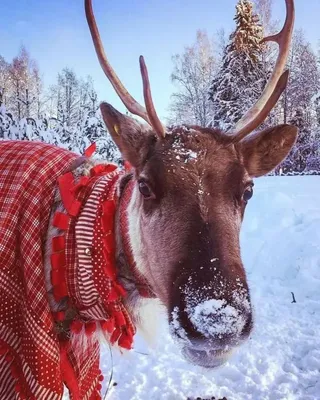 помню были приколы за туалеты с унитазами без перегородок в сочи, у нас в  офисе тут тоже свои, жаркие, зимние, твои | Пикабу