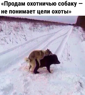 24 снимка про российские зимние приколы