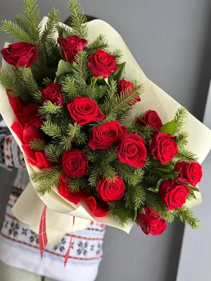 Доброе утро, друзья! Знакомьтесь! 🌹🌹🌹❤ Зимние розы. Подборка красивых  фотографий из нашего паблика ФОТО ДНЯ @_day Какое фото… |  Instagram