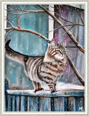 Зимние коты. 15 фото, на которых усатые зарываются в снег и играют с елкой