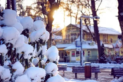 Репродукция картины 'Зимний пейзаж с людьми и городом вдали' Беерстратен  Абрахам | Зарубежная живопись | Купить в интернет магазине - 