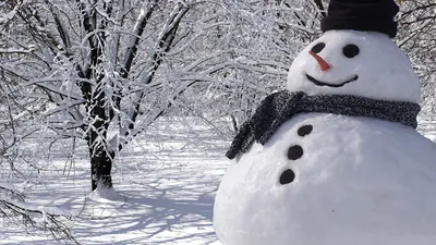 Зимний снеговик в снегу бесплатно Фон Обои Изображение для бесплатной  загрузки - Pngtree
