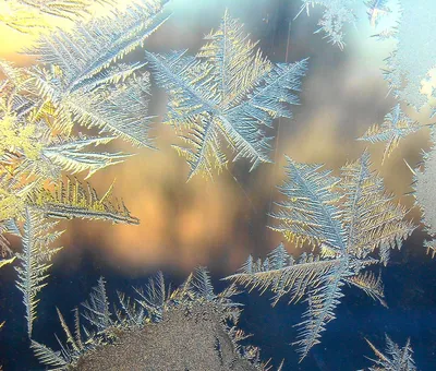 Почему на окнах в наше время почти не появляются морозные узоры? | Новости  в 'Час Пик'
