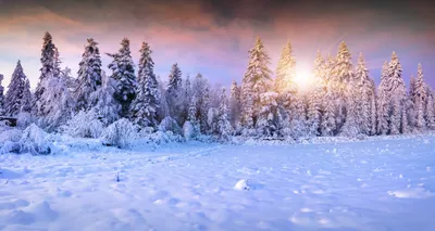 Зимние фото природы высокого разрешения, снег картинки зимы