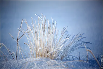 Зимний пейзаж техники фото высокого …» — создано в Шедевруме