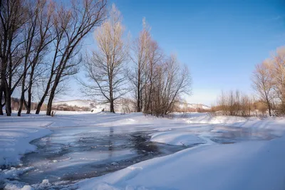 Фото зимний день в городе Славгород