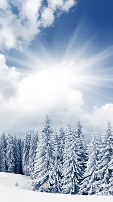 Солнечный зимний день (52 фото) | Зимняя фотография, Пейзажи,  Рождественские пейзажи