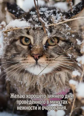 Фото Зимний день на озере Эмеральд. Фотограф Evgeny