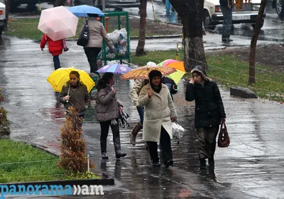 Ледяной дождь, деревья покрыты коркой…» — создано в Шедевруме