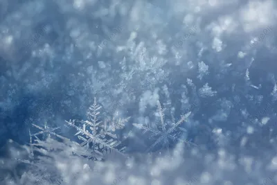 ФУТАЖ Зимний фон - FOOTAGE Winter background - YouTube
