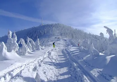 Зимний отдых в Карелии ❄ | База отдыха Хутор Салокюля