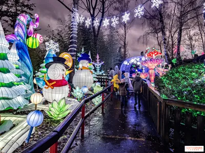 замороженный Париж в зимний снег и лед из-за энергетического кризиса  Стоковое Изображение - изображение насчитывающей изменение,  достопримечательностью: 268666895