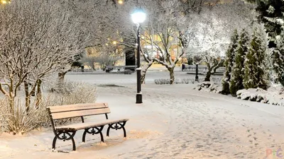 Зимний парк (31 фото) | Красивые места, Парк, Пейзажи