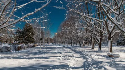 Зимний парк. Гомель