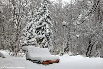 Зимний парк - Красивые картинки обоев для рабочего стола