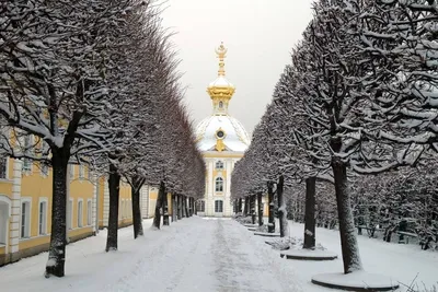 Фото зимнего Санкт-Петербурга