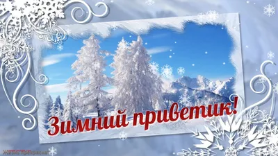 Набор для вышивания Klart 8-415 Зимний приветик купить по цене 551 ₽ в  интернет-магазине Детский мир