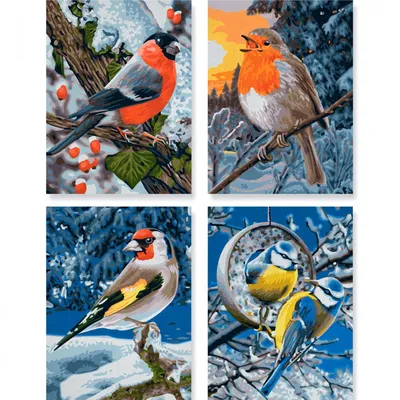Зимние птицы города стоковое фото. изображение насчитывающей замерзано -  165716500