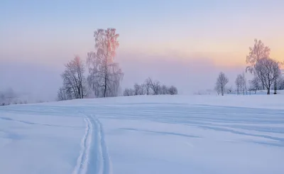 Зимний рассвет картинки