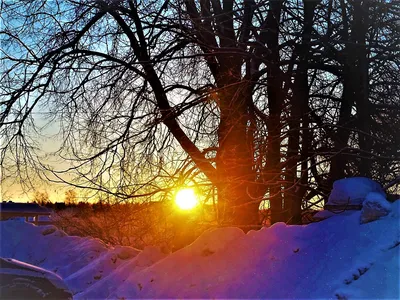 Красивый зимний рассвет фон с снегом зимой, зима, красивый, пресная фон  картинки и Фото для бесплатной загрузки