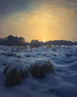 Фото дня в Сыктывкаре: первый зимний рассвет