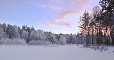 Winter 2013. Зимняя сказка. Времена года. Зимний лес (Релакс.) - YouTube