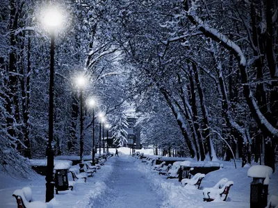 Красивые картинки зимний вечер в городе (34 фото)