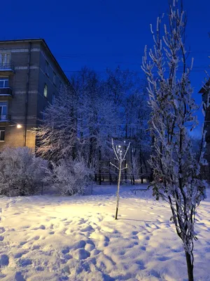 Зимний вечер в большом городе