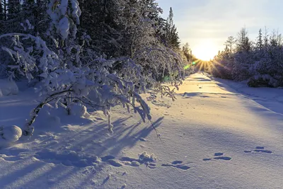 зимний вечер в городе | Winter pictures, Winter scenery, Winter wallpaper