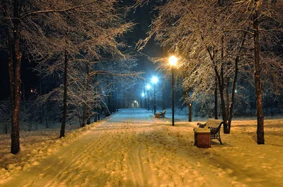 Зимний вечер в сквере А.С. Пушкина