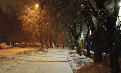 Зимний вечер в городском парке - обои для рабочего стола, картинки, фото