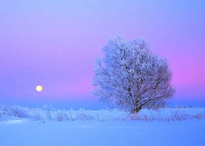 Зимний вечер - фото автора GT на сайте Сергиев.ru