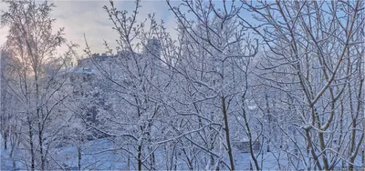 зимний вид из окна :: НАТАЛЬЯ – Социальная сеть ФотоКто