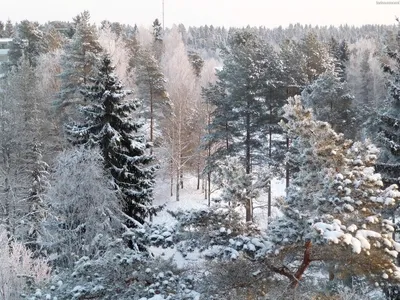 Картинка Зимний вид из окна HD фото, обои для рабочего стола