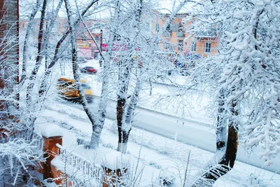 Фото Зимний вид из окна в городе Подпорожье