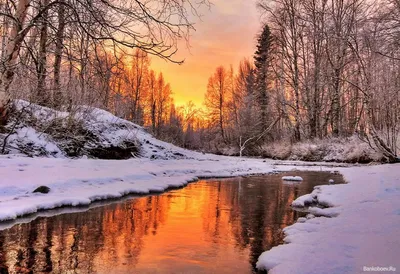 Фото дня в Сыктывкаре: чудесный зимний закат