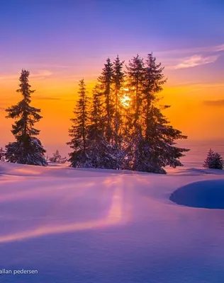 Картина Зимний закат ᐉ Стеценко Светлана ᐉ онлайн-галерея Molbert.