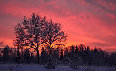 Зимний закат — Фото №120508