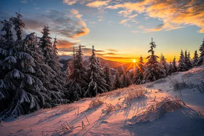 Рисунок Зимний закат №235754 - «Природа родного края!» ( - )