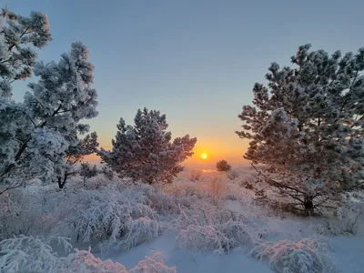 Зимний закат природа (57 фото) - 57 фото