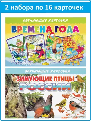 Обучающие карточки: Времена года, Зимующие птицы России (2 комплекта) -  Бук-сток