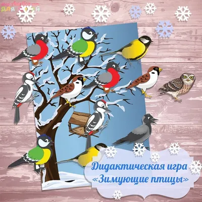Обучающие карточки: Времена года, Зимующие птицы России (2 комплекта) -  Бук-сток