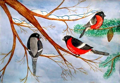 Птицы зимующие в лесу - 70 фото